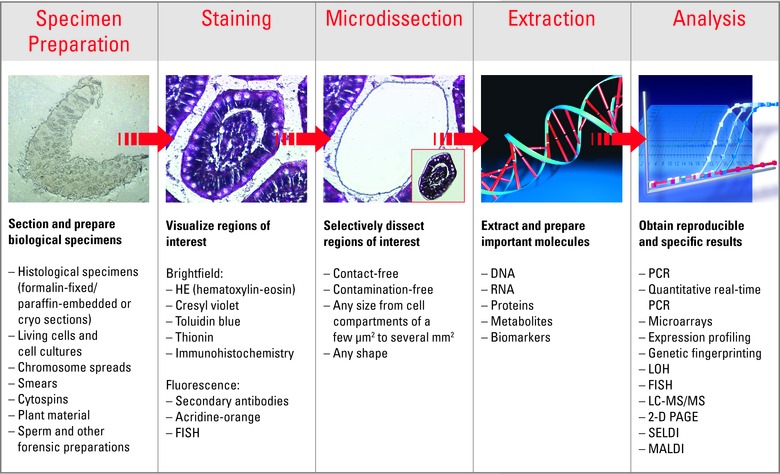 Grafik_Ablation