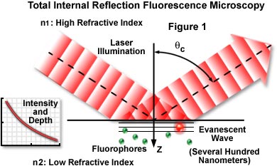 tirfmintro figure1