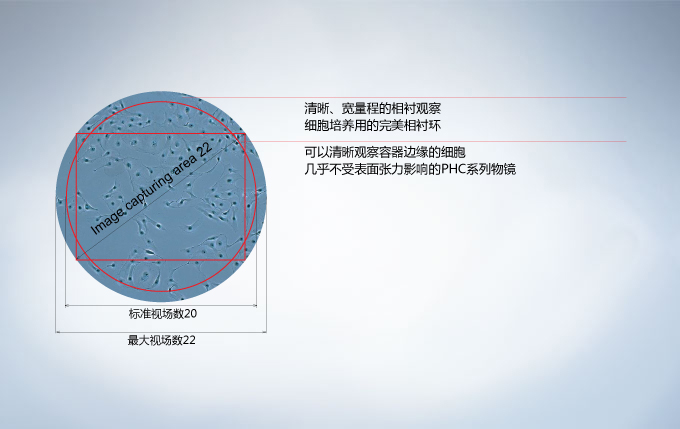 奧林巴斯顯微鏡