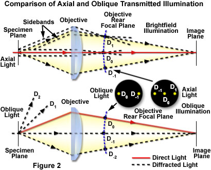 oblique figure2