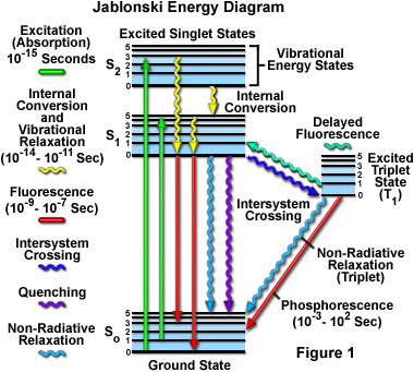 fluorescenceintro figure1