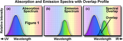 excitation emission figure1