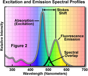 excitation emission figure2