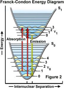 fluorescenceintro figure2