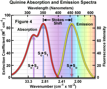 fluorescenceintro figure4