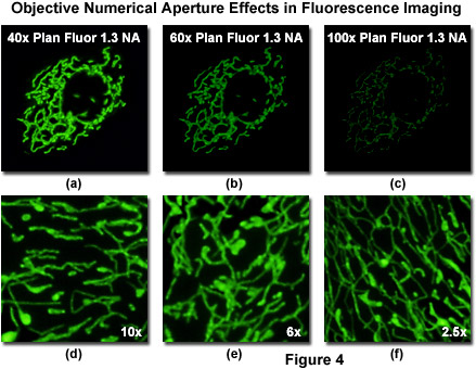 fpimaging figure4