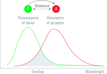 Figure_2_2-spaltig_aussen_02