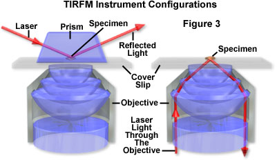 tirf mintro figure3