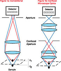 Conventional_confocal_microscope_optics