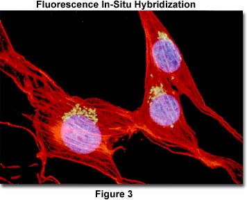 innovations figure3