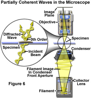 specimen contrast figure6