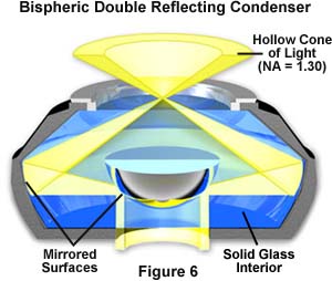 bispheric